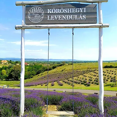 게스트하우스 Klimatizalt, Medences, Jakuzzis Nyaralo A Balatonnal!